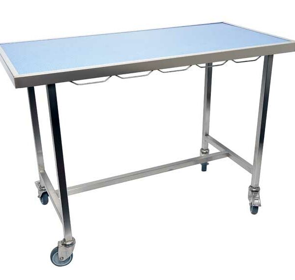 Consultation table with carpet top and frame with wheels