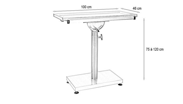 Table chirurgie petits animaux plateau 1 évacuation