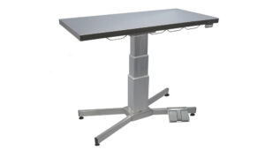 TA600100 Table consultation colonne électrique avec plateau plat inox