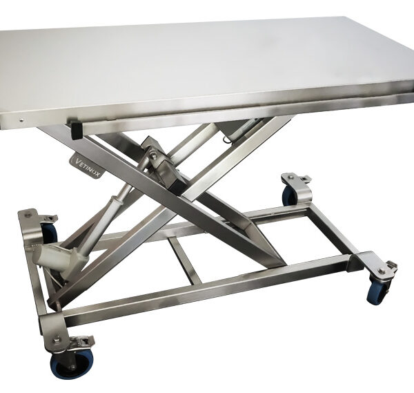 Camilla de consulta ELITE con pulsador