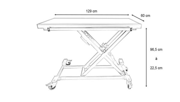 Table de consultation brancard ELITE radiologie télécommande et batterie