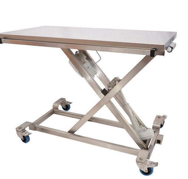 ELITE stretcher consultation table with remote control