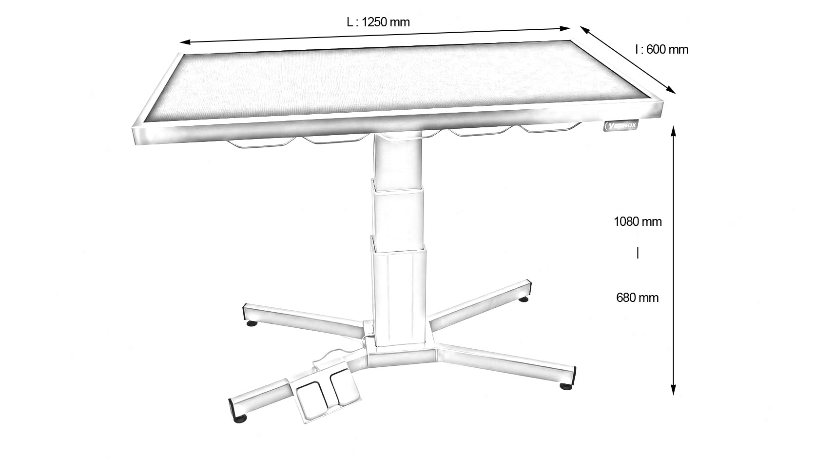 VETINOX_TA600000_Table_de_consultation_piedX_plateau_plat_inox_colonne_electrique_tapis_bleu