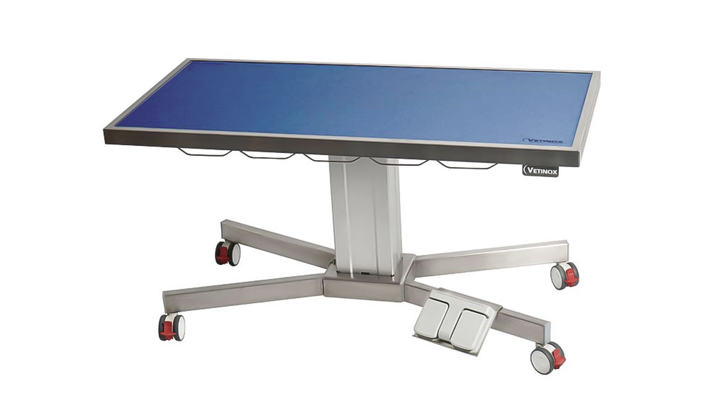 Vetinox_TA600010TableConsultationPiedXPlateauTapisEtCadre4Roues1250x600_H680a1080ColonneElectriqueDiversionMarine