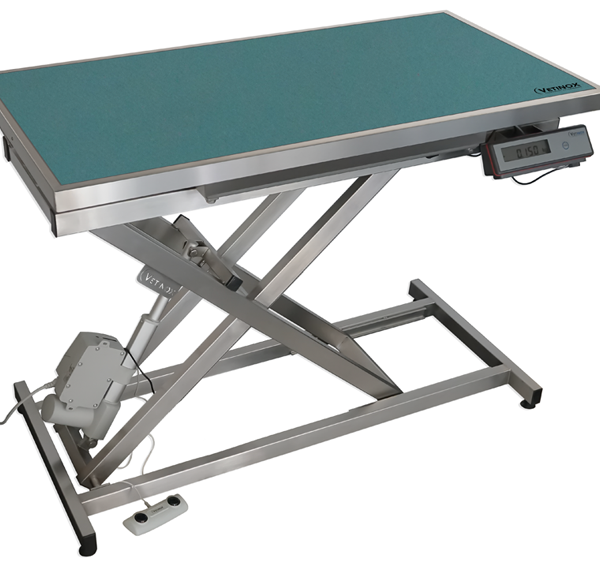 Electric consultation table with mat and frame – Turquoise with pattern