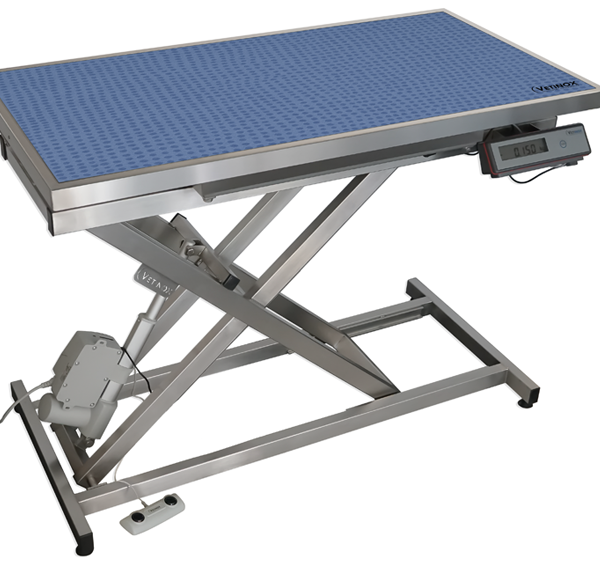 Electric consultation table with mat and frame – Blue