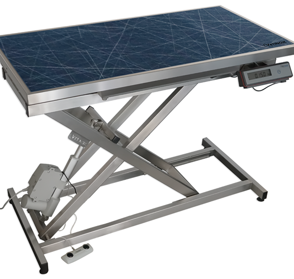 Electric consultation table with mat and frame