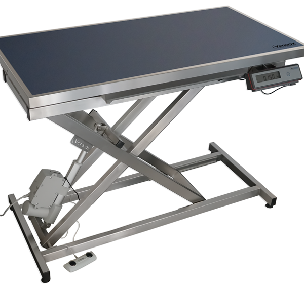 Electric consultation table with mat and frame – Dark blue