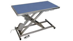 Table consultation électrique tapis et cadre bleu