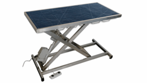 Table consultation électrique tapis et cadre bleu avec motifs