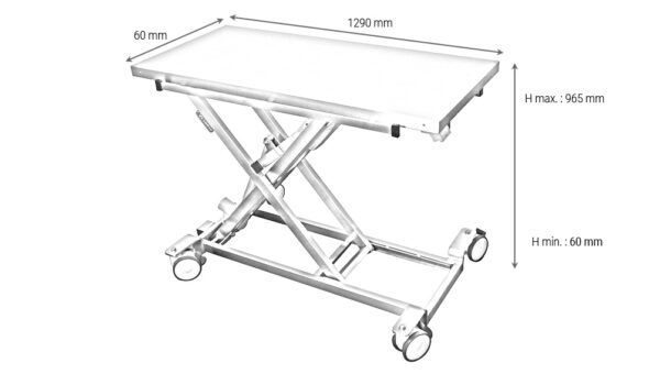 TA100420 - Table de consultation brancard ELITE disponible avec différentes options, et réalisable sur-mesure.